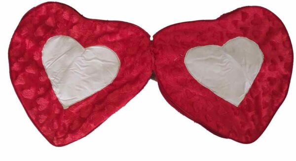 couple pillow Heart